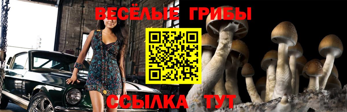 Малгобек  Галлюциногенные грибы MAGIC MUSHROOMS  Вход с VPN 